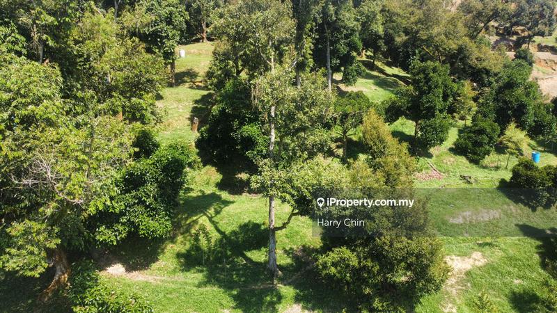 Agricultural Land for Sale in Karak, Bentong by Harry Chin - iProperty.com.my