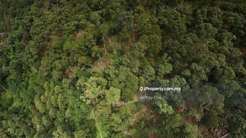 Tanah Pertanian untuk Dijual di Teluk Kumbar, Teluk Kumbar oleh Jeffrey Ooi - iProperty.com.my