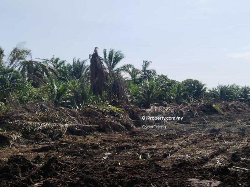 Agricultural Land for Rent in Kampung Parit Sikom Lapis, Ayer Baloi by Gyden Heng - iProperty.com.my