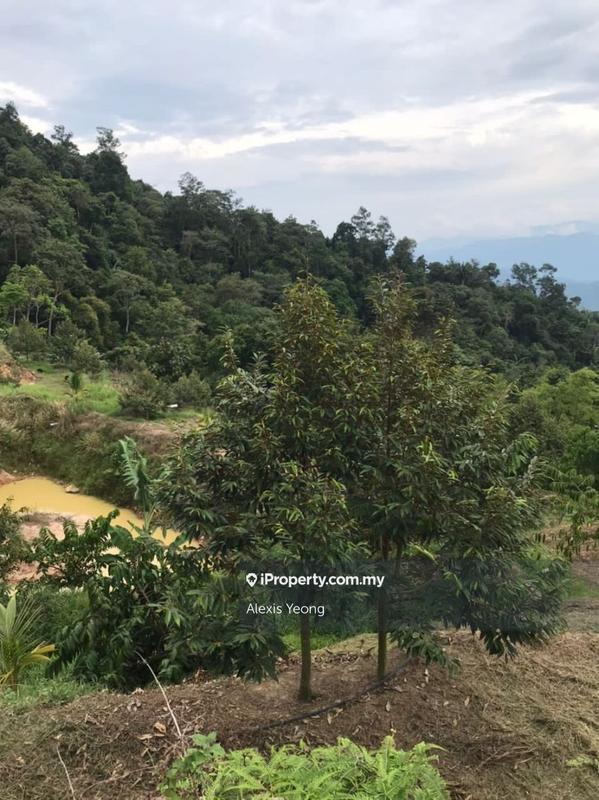 Agricultural Land for Sale in Sang Lee, Raub by Alexis Yeong - iProperty.com.my