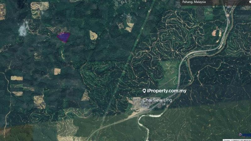 Tanah Pertanian untuk Dijual di lzena, Penjom oleh Chai Siew Ling - iProperty.com.my