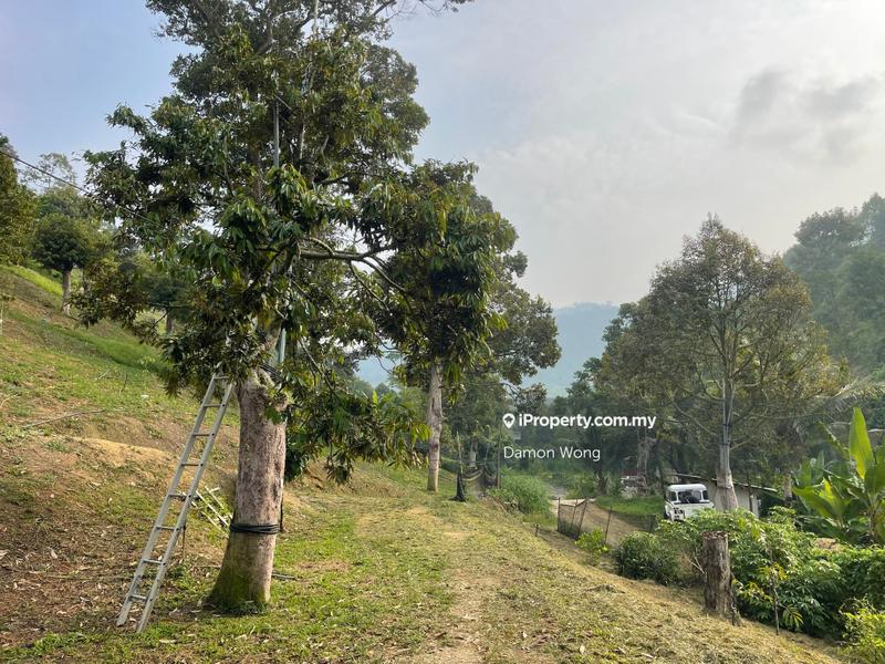 Tanah Pertanian untuk Dijual di Sungai Chetang, Raub oleh Damon Wong - iProperty.com.my