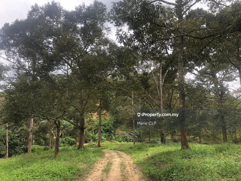 Tanah Pertanian untuk Dijual di Bentong, Pahang oleh Marie CLP - iProperty.com.my