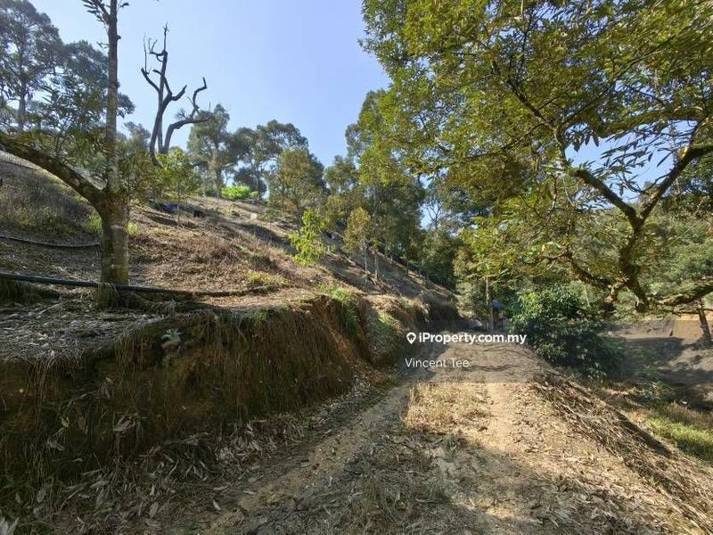 Tanah Pertanian untuk Dijual di Cheroh, Raub oleh Vincent Tee - iProperty.com.my