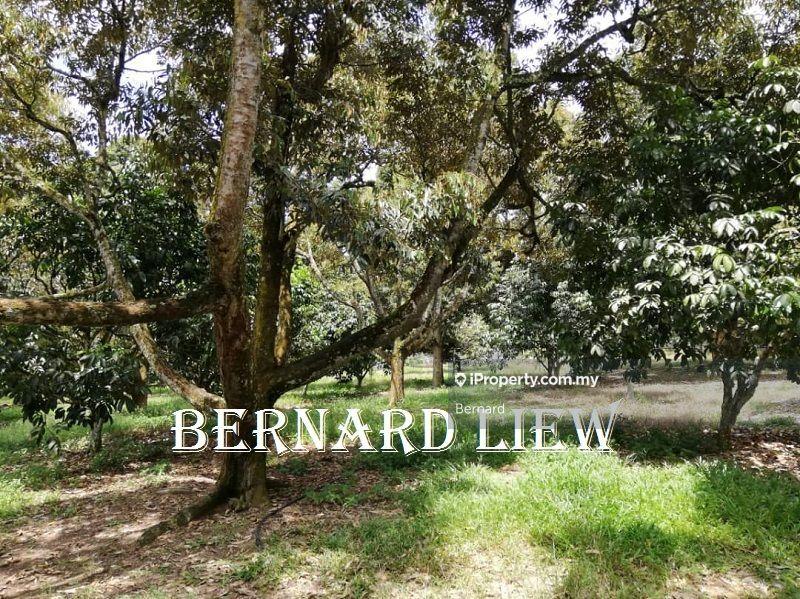Tanah Pertanian untuk Dijual di Gurun, Kedah oleh Bernard - iProperty.com.my