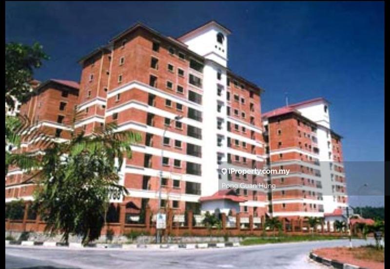 For Sale - Evergreen Park Scot Pine