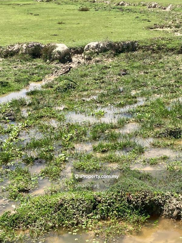 Agricultural Land for Sale in Langkawi, Kuah by Ismael Stork - iProperty.com.my