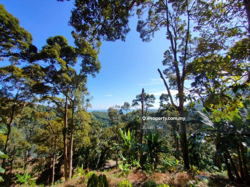 Agricultural Land for Sale in Gertak Sanggul, Bayan Lepas by Zusain Tan - iProperty.com.my