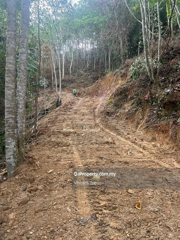 Tanah Pertanian untuk Dijual di Bandar Raub Perdana, Raub oleh Vincent Tee - iProperty.com.my
