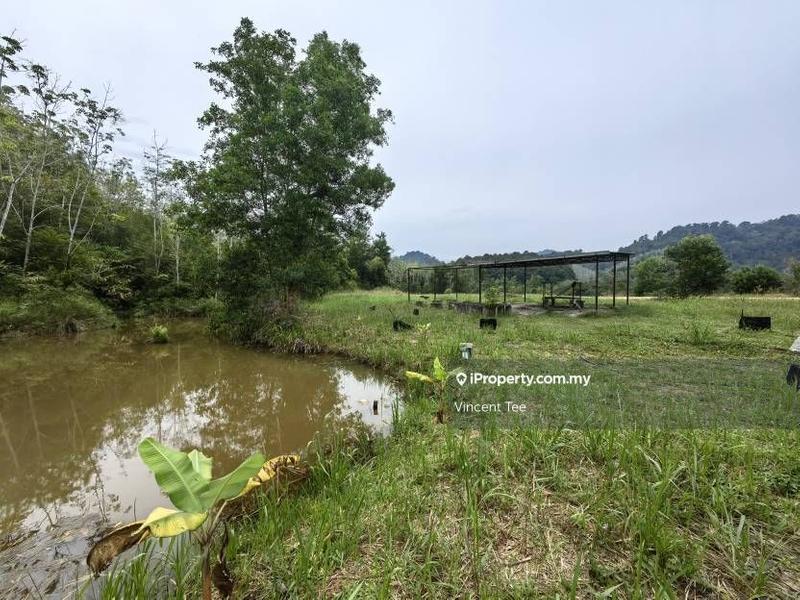 Tanah Pertanian untuk Dijual di Kampung Renal, Kuala Klawang oleh Vincent Tee - iProperty.com.my
