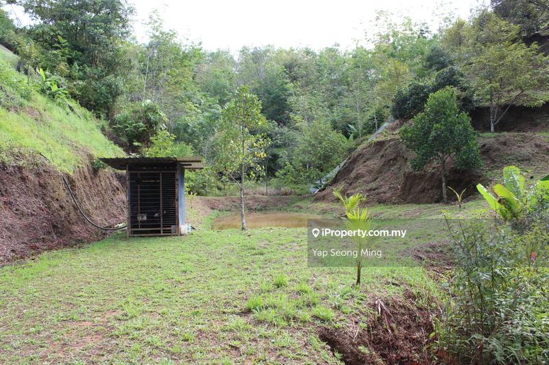 Tanah Pertanian untuk Dijual di Kenaboi, Kenaboi oleh Yap Seong Ming - iProperty.com.my