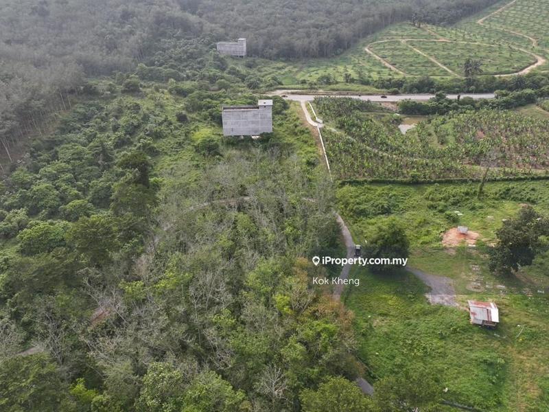 For Sale - Rubber tree land Next to sg perak