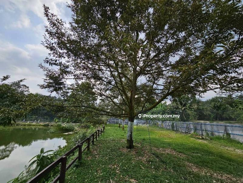 Agricultural Land for Sale in Pekan Batu 14, Hulu Langat by Huda - iProperty.com.my