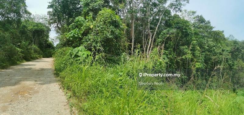 Agricultural Land for Sale in Sungai Dua, Sabai by Sherlyn Yeoh - iProperty.com.my