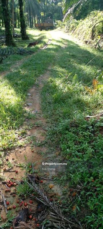 Agricultural Land for Sale in Taman Melaka Pindah, Alor Gajah by Kok Kheng - iProperty.com.my