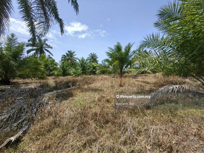 Agricultural Land for Sale in Kampung Baru Kemayan, Triang by Vincent Tee - iProperty.com.my