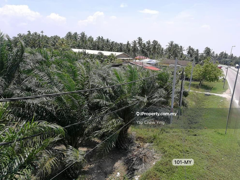 Agricultural Land for Sale in Assam Jawa, Kuala Selangor by Yap Chew Ying - iProperty.com.my