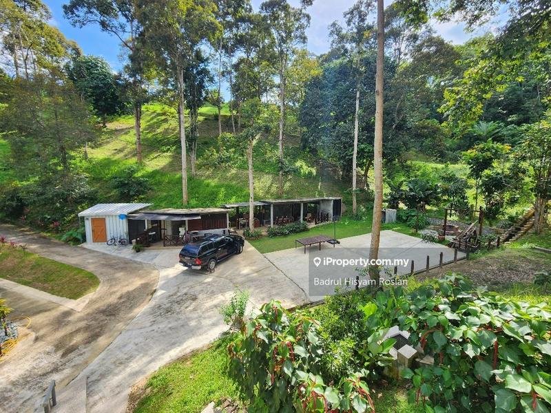 For Sale - 