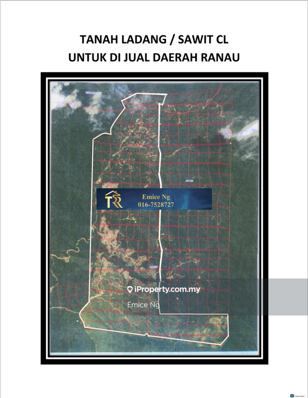 For Sale - NT Palm oil land