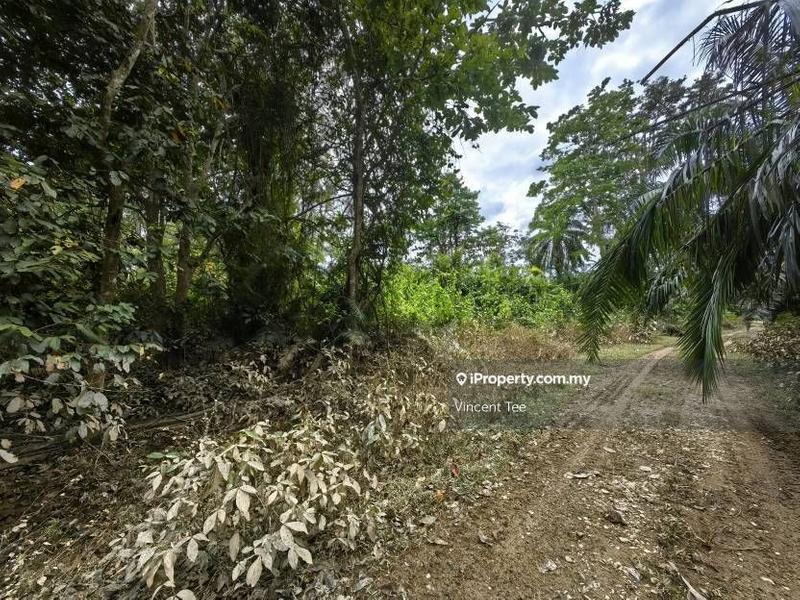 Tanah Pertanian untuk Dijual di Bandar Baru Temerloh, Temerloh oleh Vincent Tee - iProperty.com.my