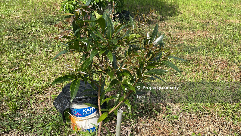 Banglo untuk Dijual di Bandar Tiram, Ulu Tiram oleh Fion - iProperty.com.my