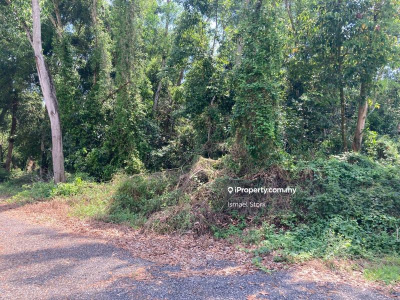 Agricultural Land for Sale in Kampung Sungai Ular, Sungai Karang by Ismael Stork - iProperty.com.my