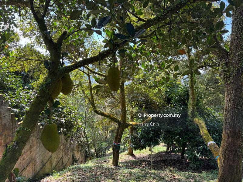 Agricultural Land for Sale in Karak, Bentong by Harry Chin - iProperty.com.my