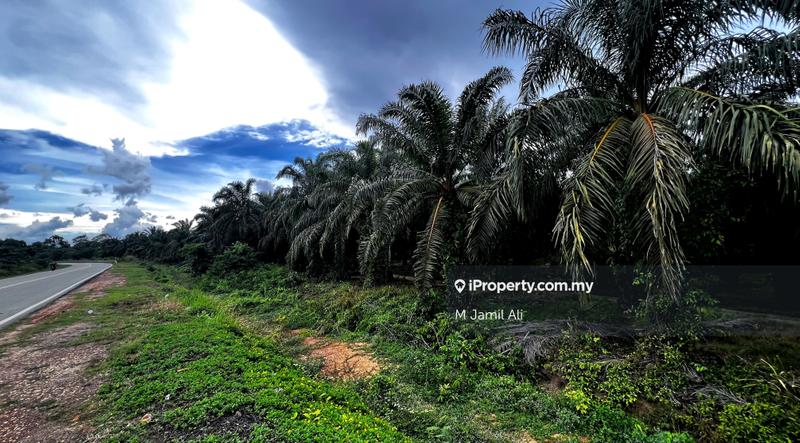 For Sale - Mukim Pogoh