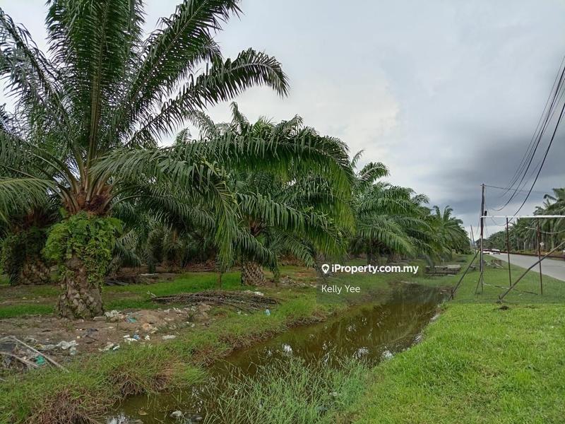 Tanah Pertanian untuk Dijual di Nibong Tebal, Penang oleh Kelly Yee - iProperty.com.my