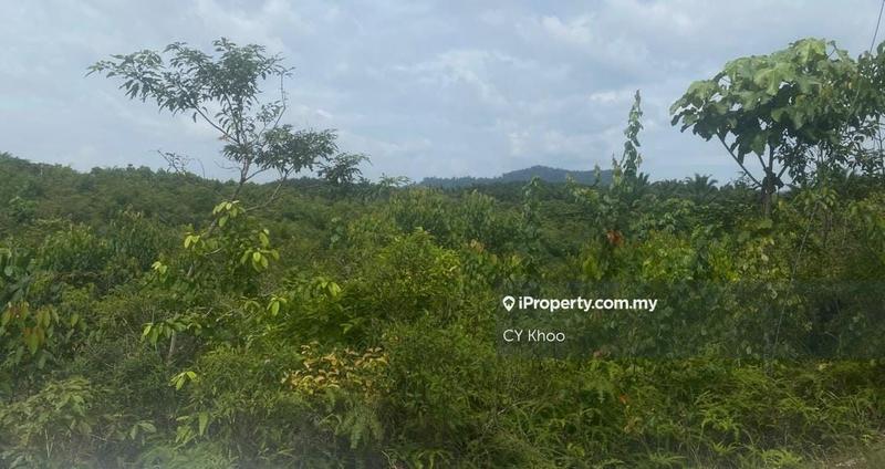 For Sale - Pahang Maran Luit 1900 acres Palm Oil Land for sale Rm 68k net per acres ( Private land)