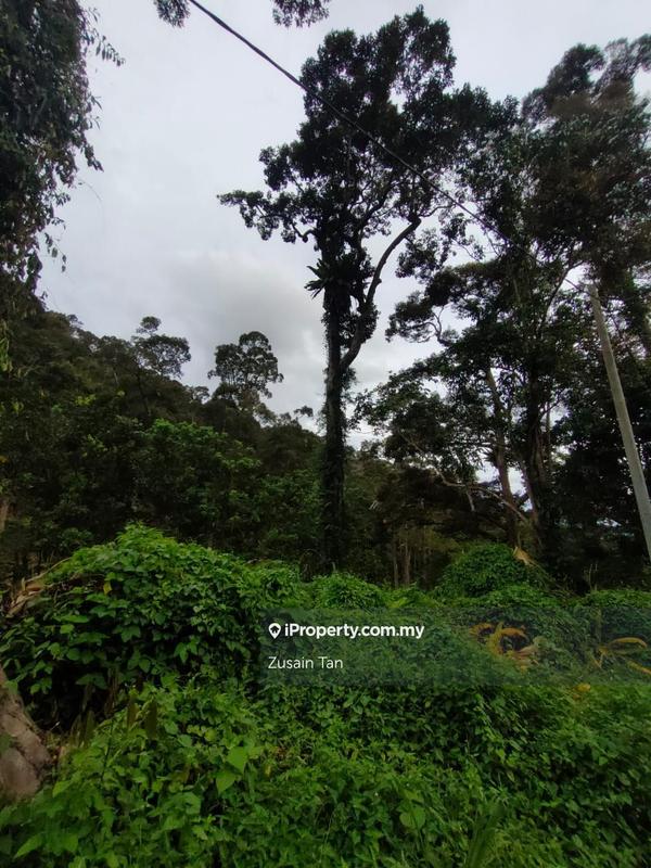 Agricultural Land for Sale in Kampung Titi Serong, Balik Pulau by Zusain Tan - iProperty.com.my