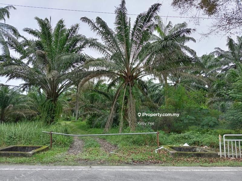 Tanah Kediaman untuk Dijual di Sungai Jawi, Penang oleh Kelly Yee - iProperty.com.my