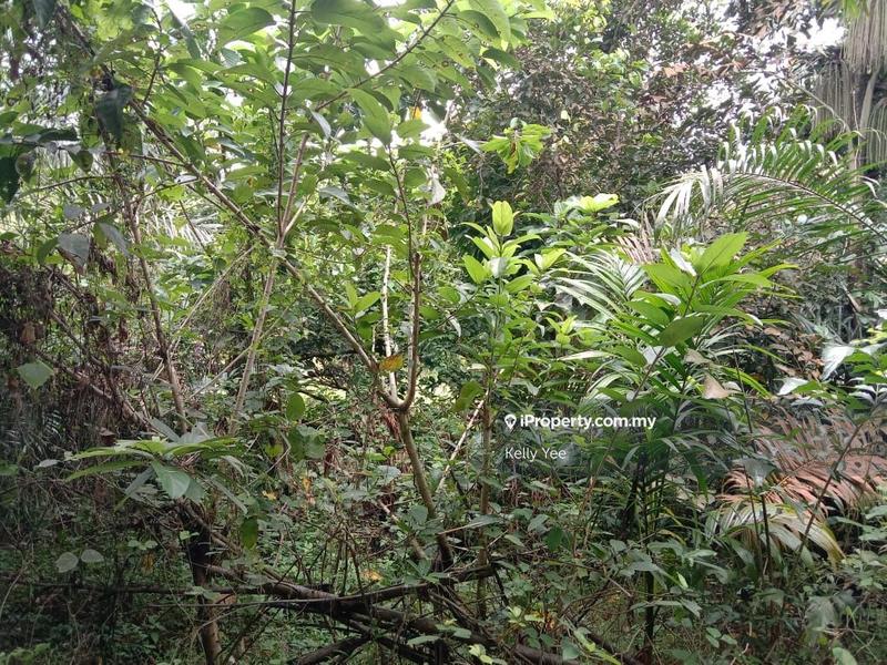 Agricultural Land for Sale in Sungai Lembu, Bukit Mertajam by Kelly Yee - iProperty.com.my