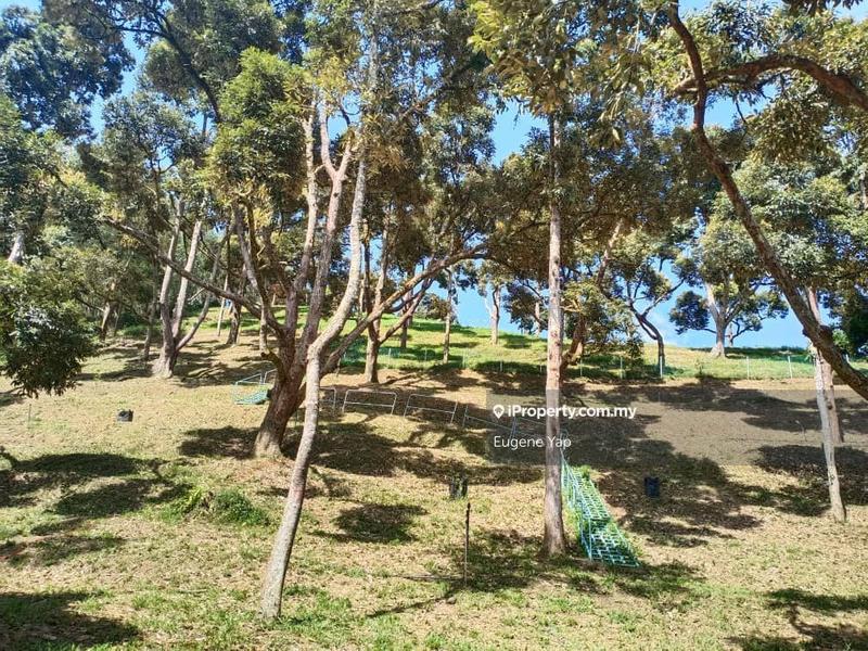 Agricultural Land for Sale in Bukit Tinggi, Bentong by Eugene Yap - iProperty.com.my