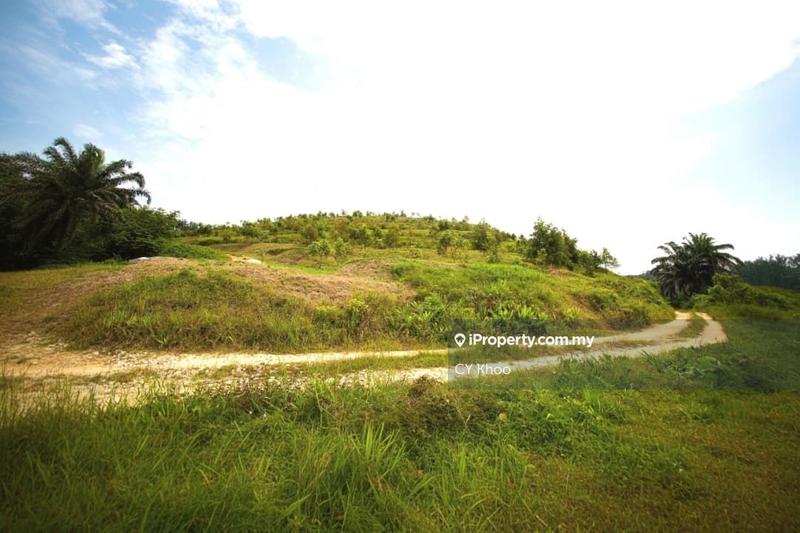 For Sale - Kedah Padang Terap Bandar Kuala Nerang 123 acres Zoning Residential Empty Land for sale