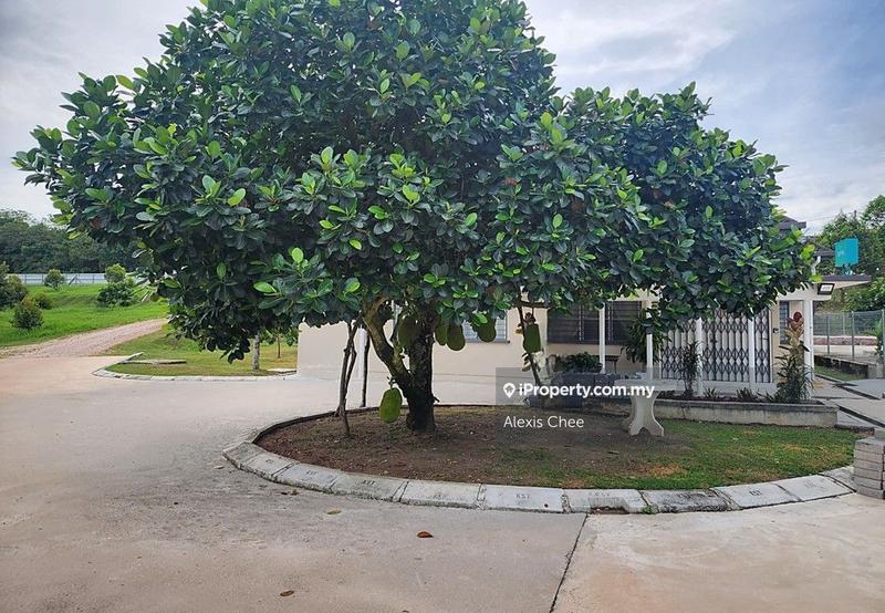Agricultural Land for Sale in Gopeng, Perak by Alexis Chee - iProperty.com.my