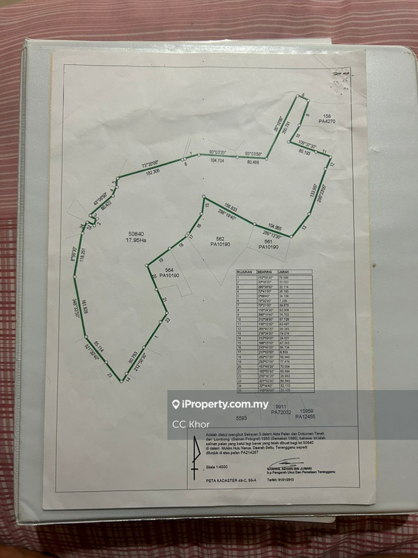 For Sale - Oil palm plantation