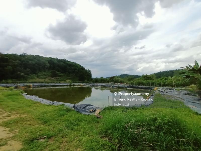 Tanah Pertanian untuk Dijual di Bukit Beruntung, Rawang oleh Kelvin Lai - iProperty.com.my
