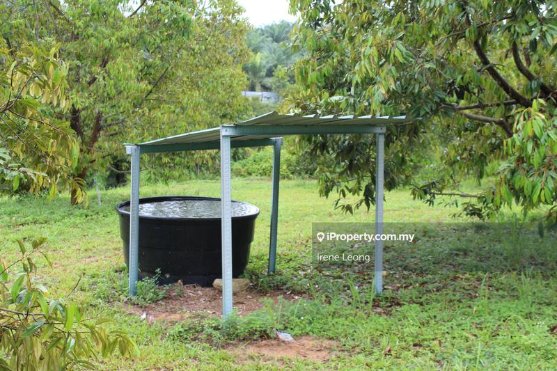 Agricultural Land for Sale in Kampung Selandar, Selandar by Irene Leong - iProperty.com.my