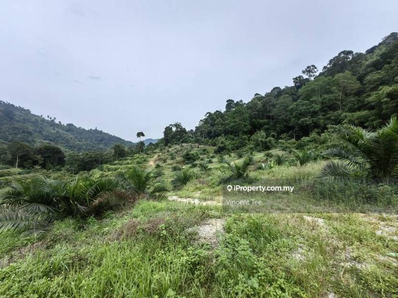 Tanah Pertanian untuk Dijual di Kampung Renal, Kuala Klawang oleh Vincent Tee - iProperty.com.my