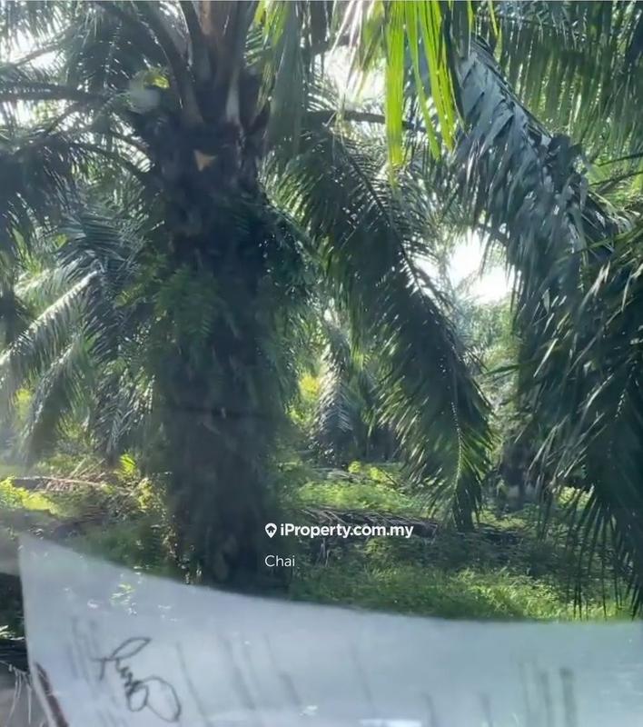 Tanah Perindustrian untuk Dijual di Kampung Batu 9 Kebun Baru, Telok Panglima Garang oleh Chai - iProperty.com.my