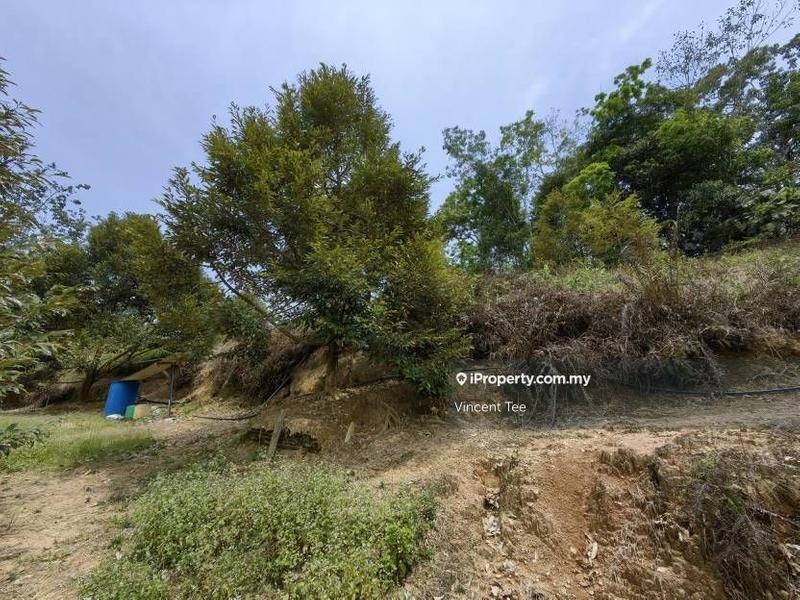 Agricultural Land for Sale in Taman Titi, Titi by Vincent Tee - iProperty.com.my