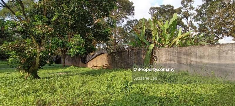 Agricultural Land for Sale in Kampung Kemunting Baru, Karangan by Suzzane Lee - iProperty.com.my