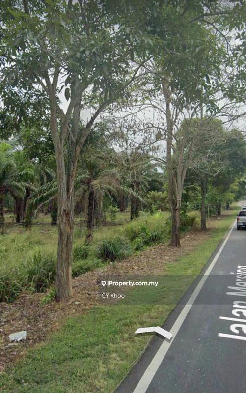 Agricultural Land for Sale in Johor Kluang Taman Puteri 1168 acres Mix deverlope, Kluang by CY Khoo - iProperty.com.my