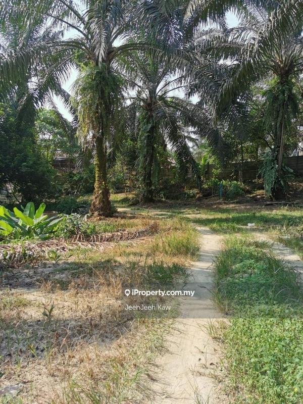 Tanah Pertanian untuk Dijual di Kulim, Kedah oleh JeehJeeh Kaw - iProperty.com.my