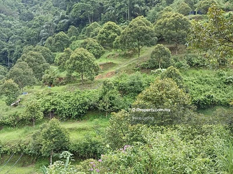 Agricultural Land for Sale in Raub, Pahang by Irene Leong - iProperty.com.my