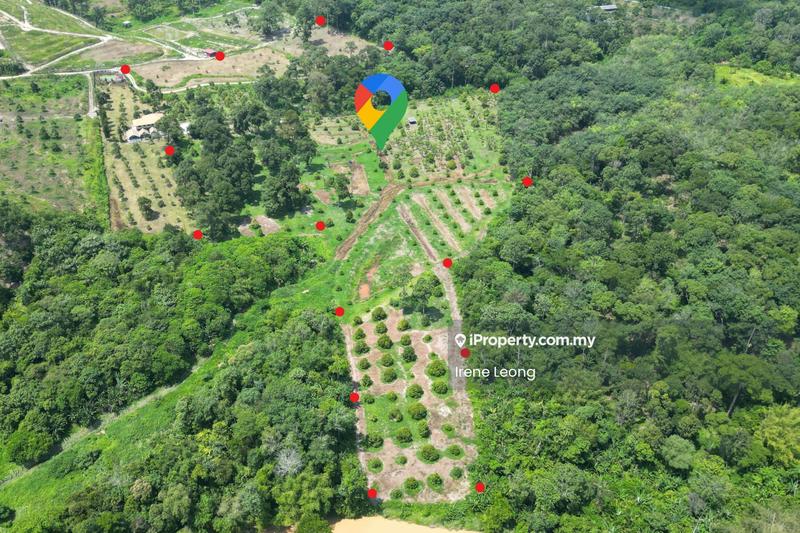 Agricultural Land for Sale in Karak, Pahang by Irene Leong - Exterior - iProperty.com.my