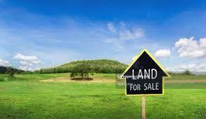 Industrial Land for Sale in Kapar, Selangor by Sean Liew - iProperty.com.my