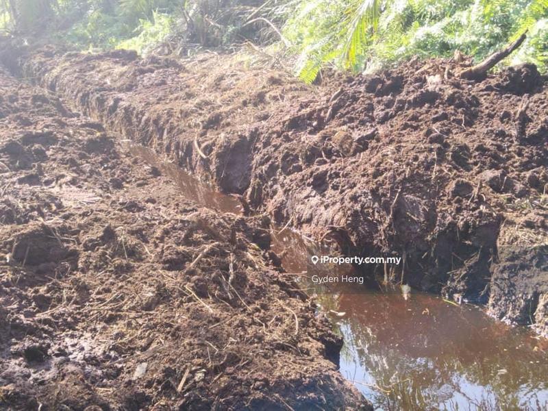 Agricultural Land for Rent in Kampung Parit Sikom Lapis, Ayer Baloi by Gyden Heng - iProperty.com.my