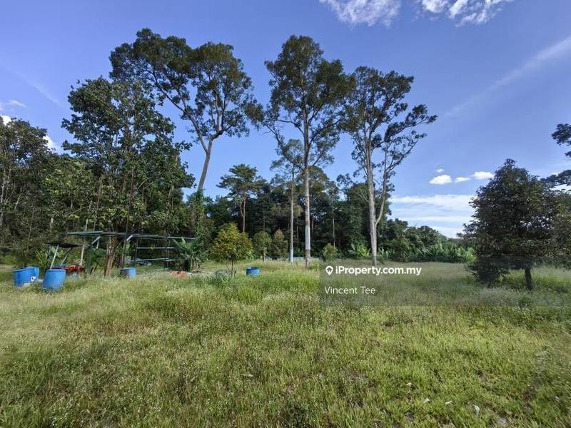 For Sale - 2 Acres Freehold Durian Farm Next to River Padang Tengku Kuala Lipis Raub Bentong